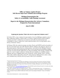 Safety and Accountability Audit Reports for the Demonstration Initiative Sites – State of Michigan (2004) Cover